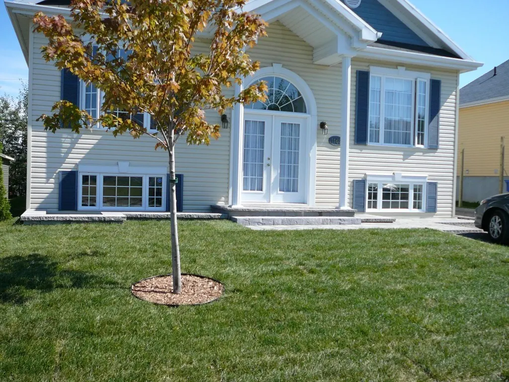 Maison avec une pelouse verte et bien entretenue